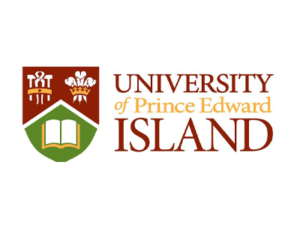 university of Island